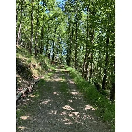 בקתה St Lambertus A *